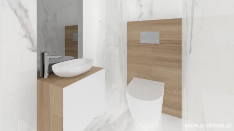 Projekt domu parterowego Aksamitka wersja lustrzana - widok WC