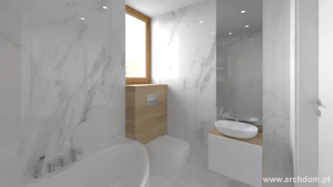 Projekt domu parterowego Aksamitka wersja lustrzana - widok 1 - łazienka